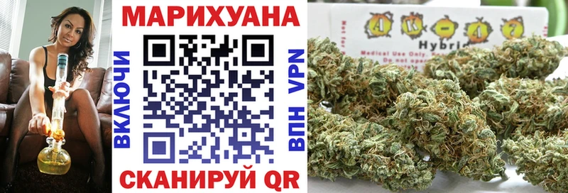 Конопля гибрид  Лабинск 